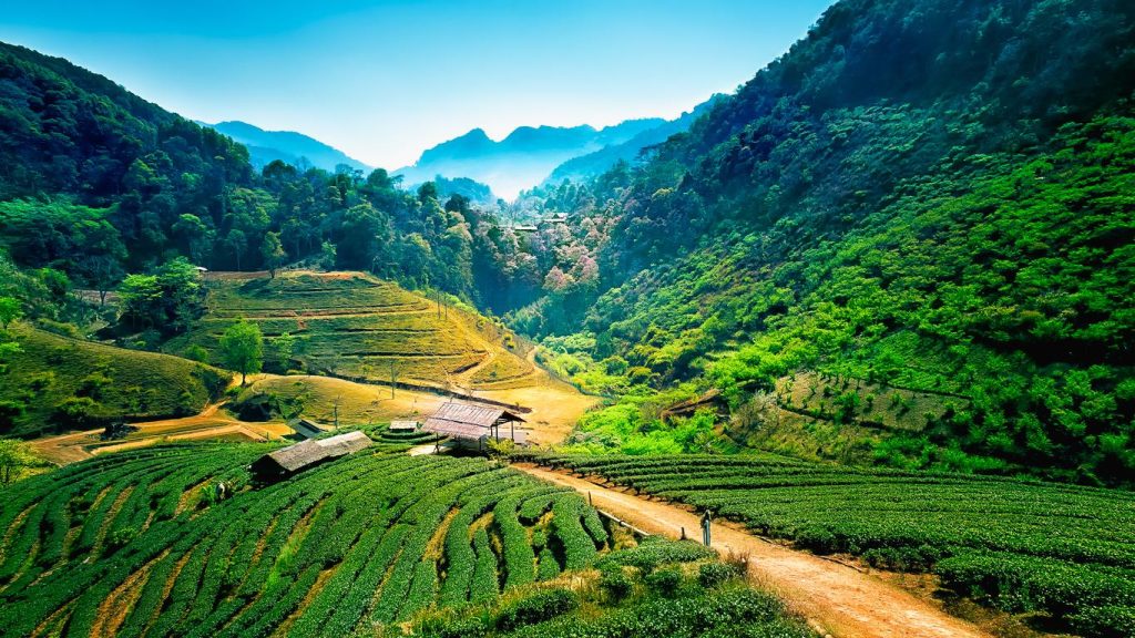 chiang mai tailandia